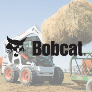 Bobcat