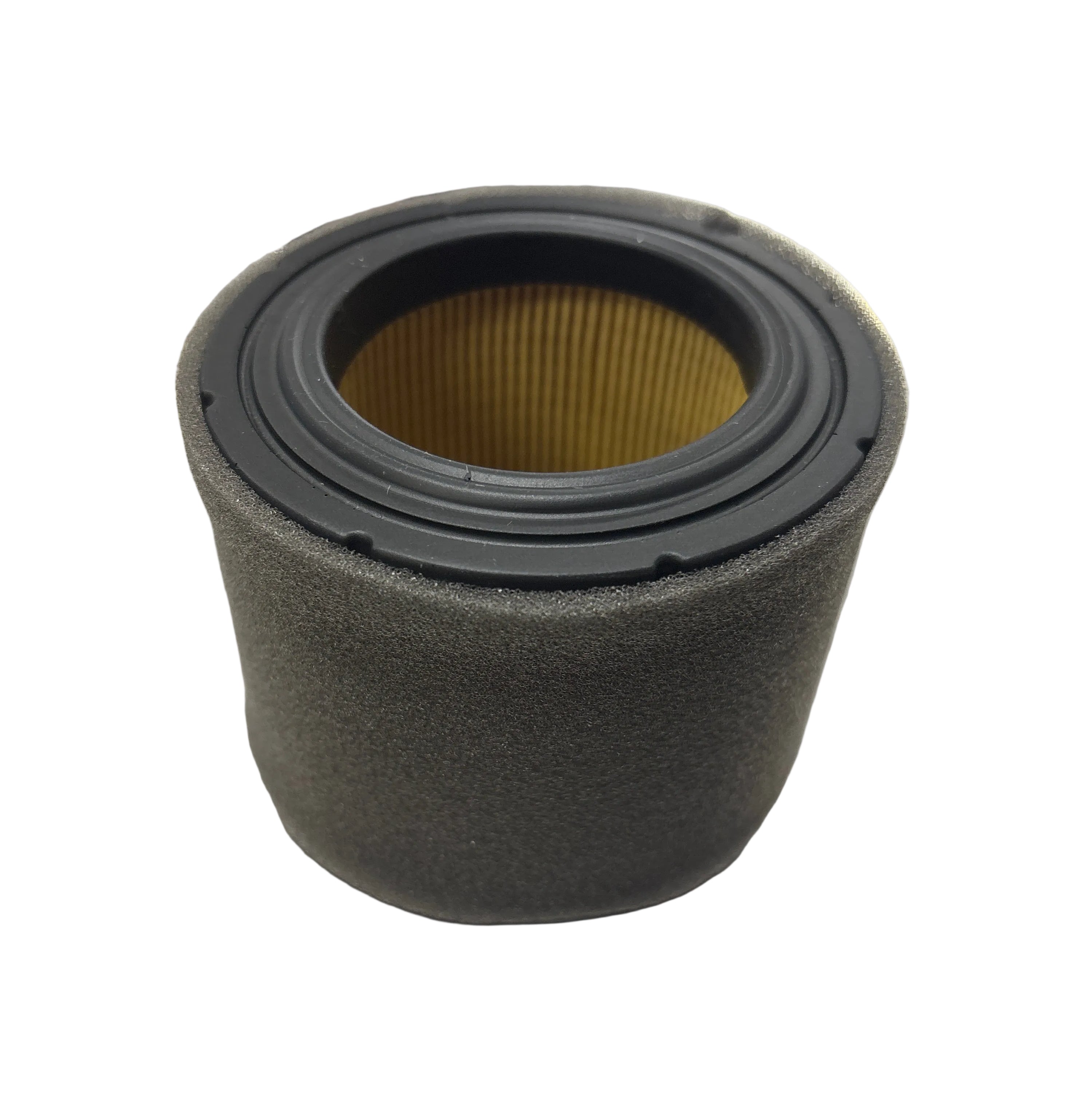Element Air Filter Assembly