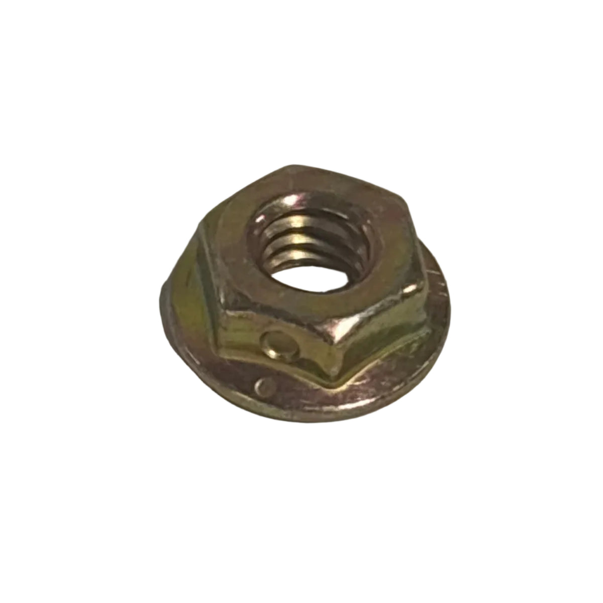 Hex Head Flange Nut
