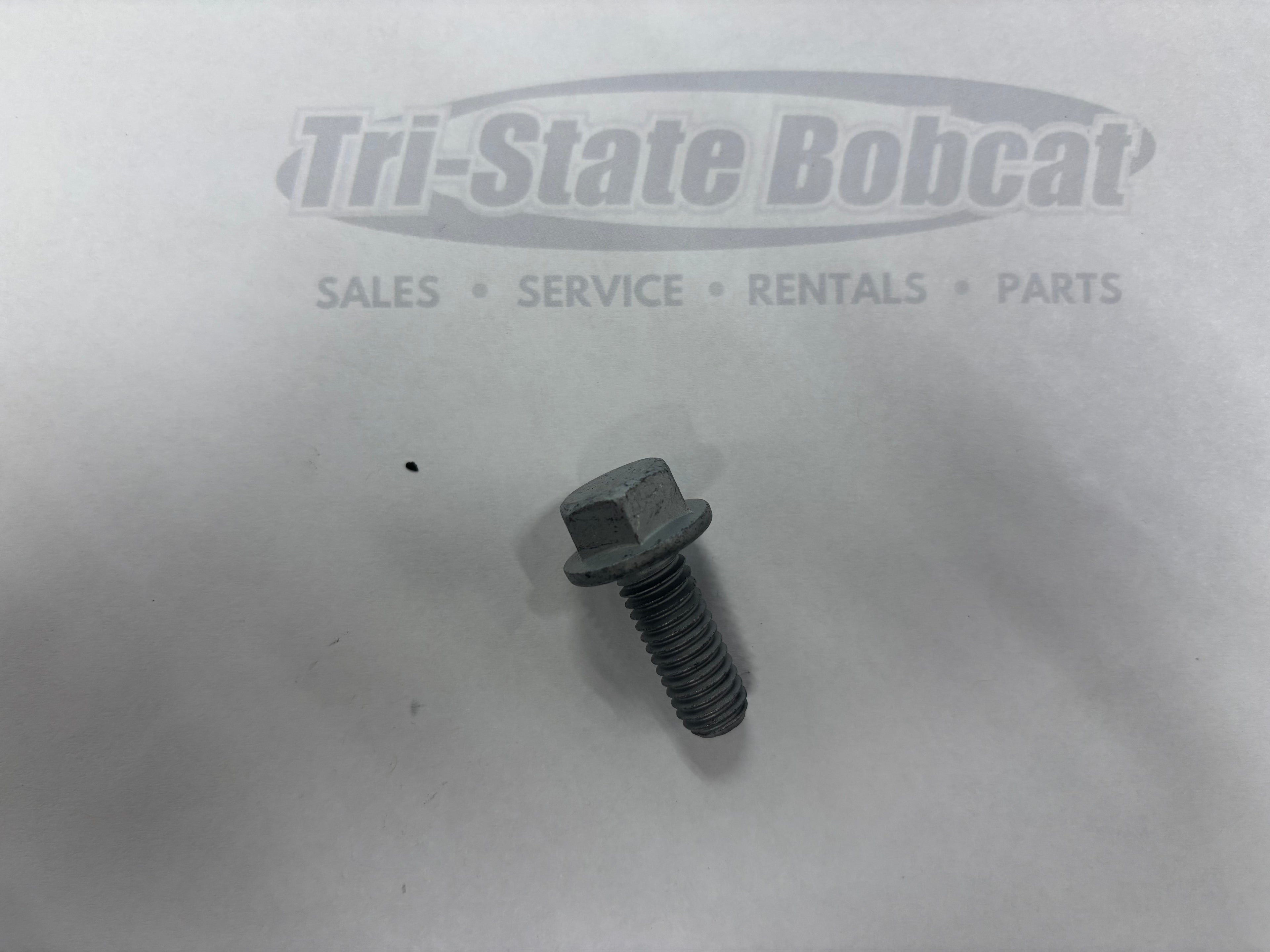 Flanged Head Screw