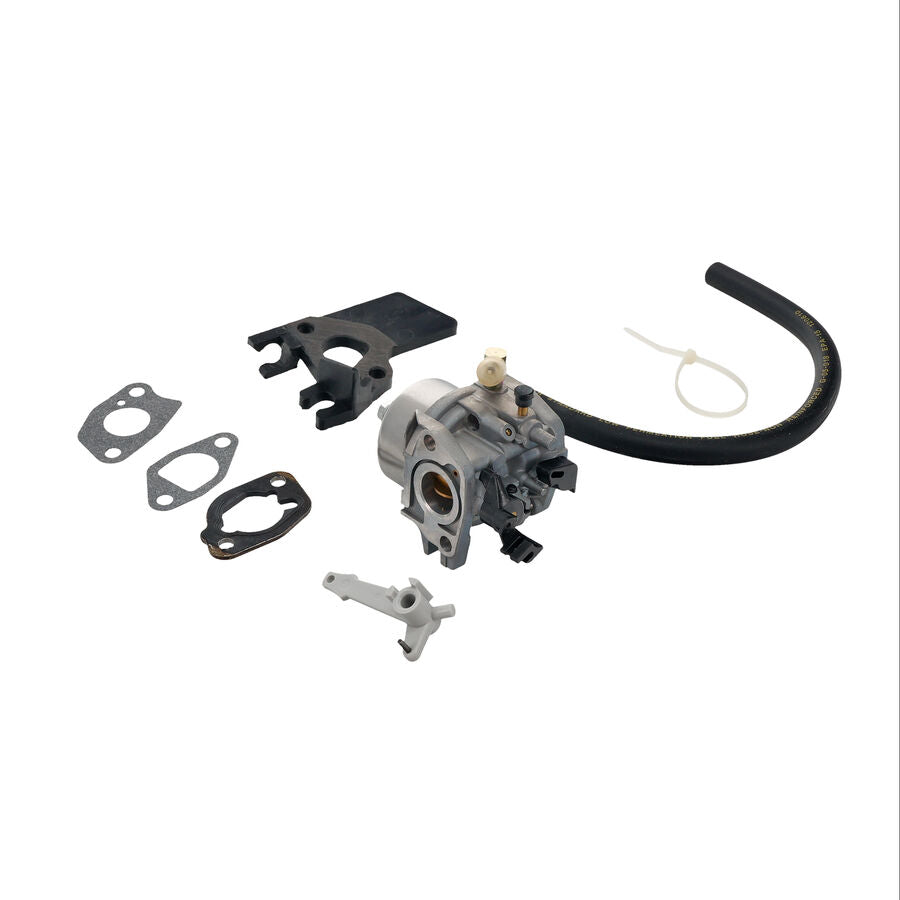 Carburetor and Fuel Line Kit