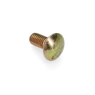 Carriage Screw