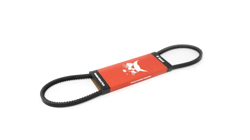 Alternator Belt