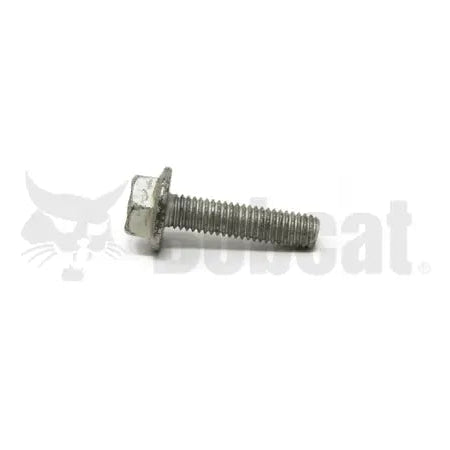 Flanged Hex Cap Screw