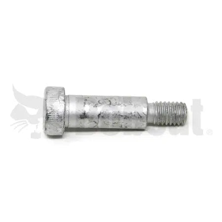Bobcat Screw 38C820