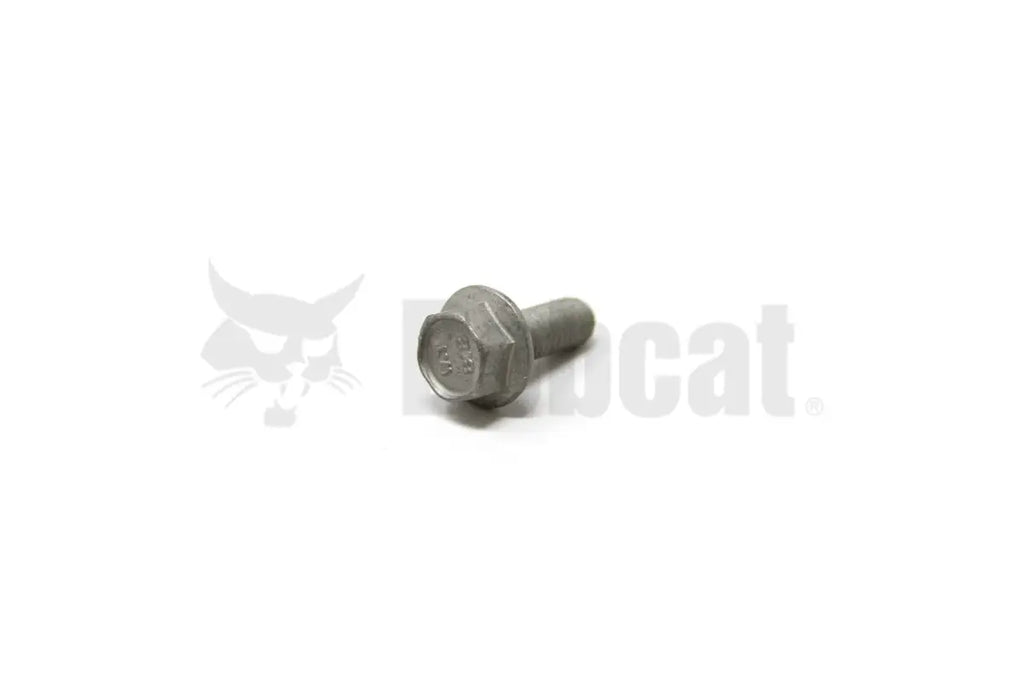 Flanged Hex Cap Screw