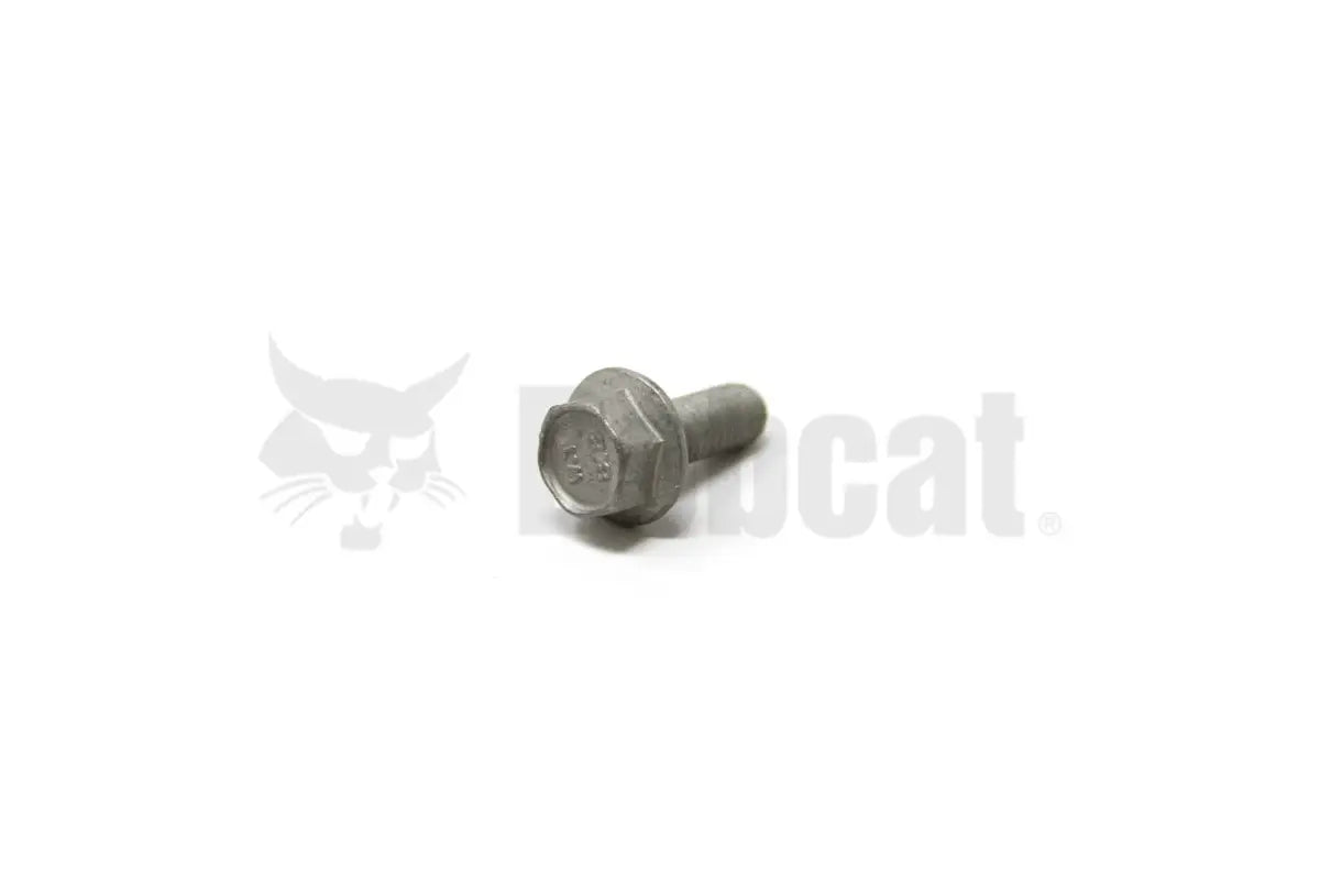 Flanged Hex Cap Screw