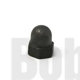 nut 29