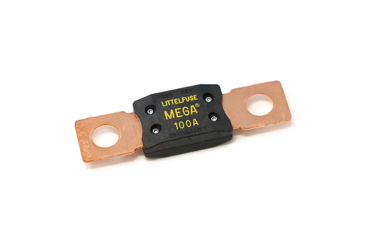 100A Fuse