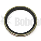 radial lip seal 1
