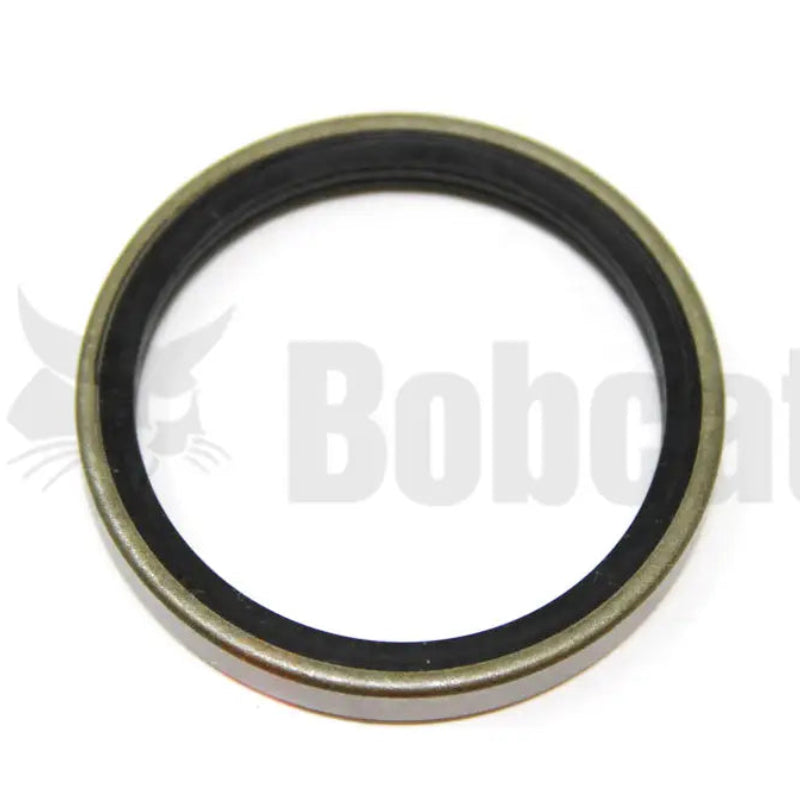 radial lip seal 1