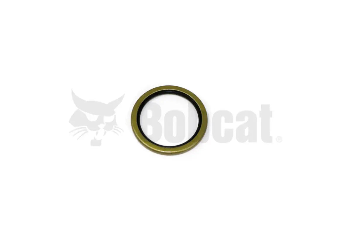 Oil Seal