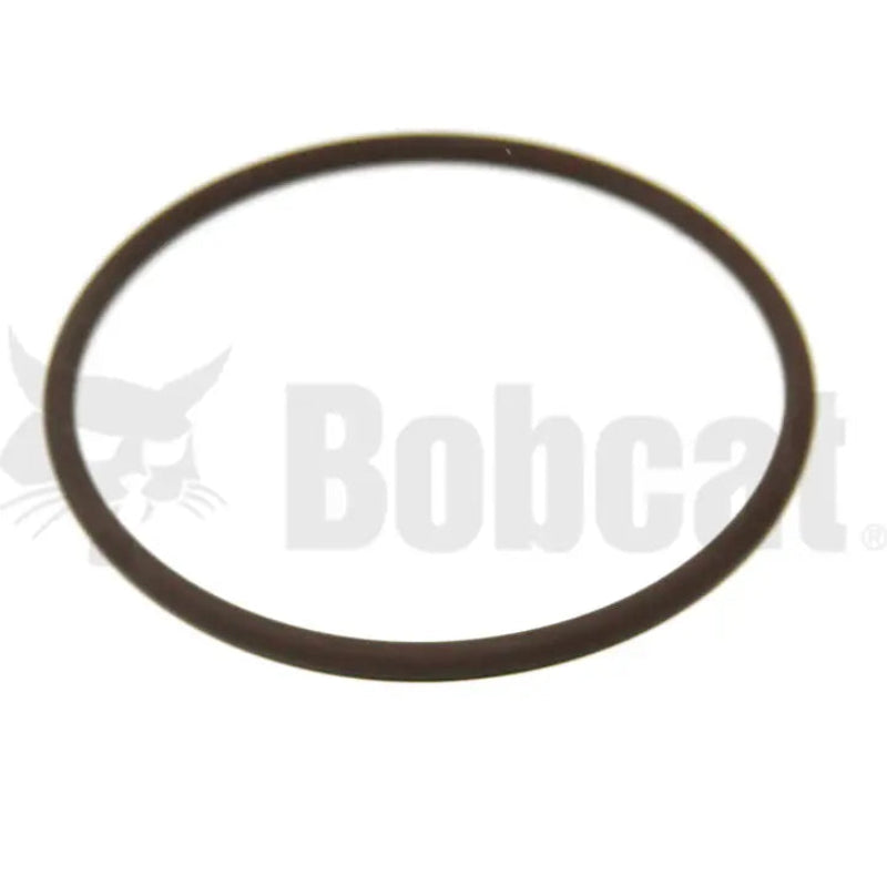 o ring seal 1