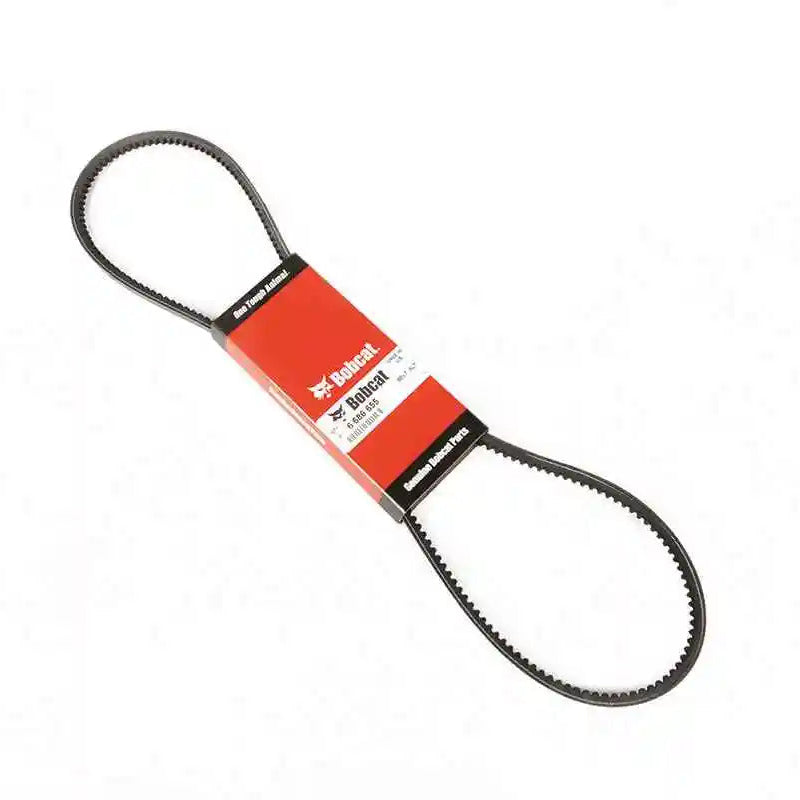 alternator belt