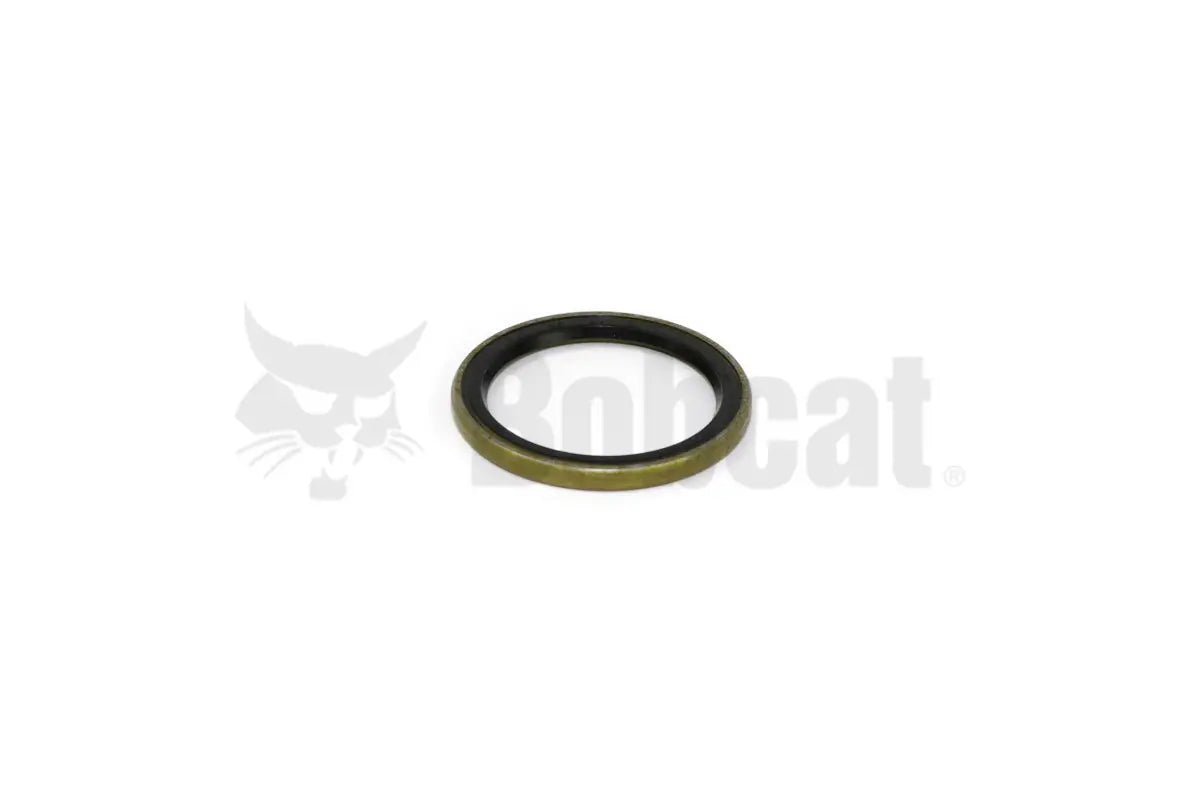 Oil Seal