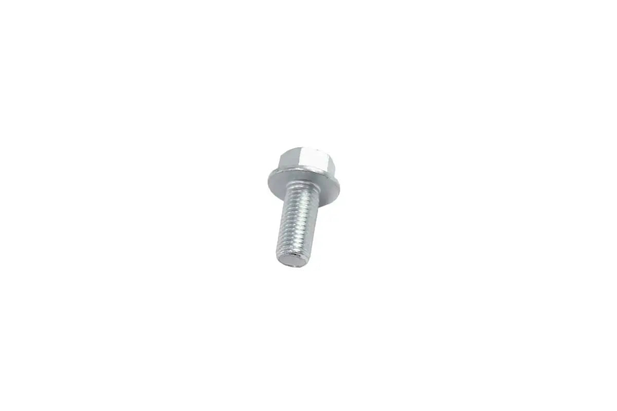 Hex Flange Screw