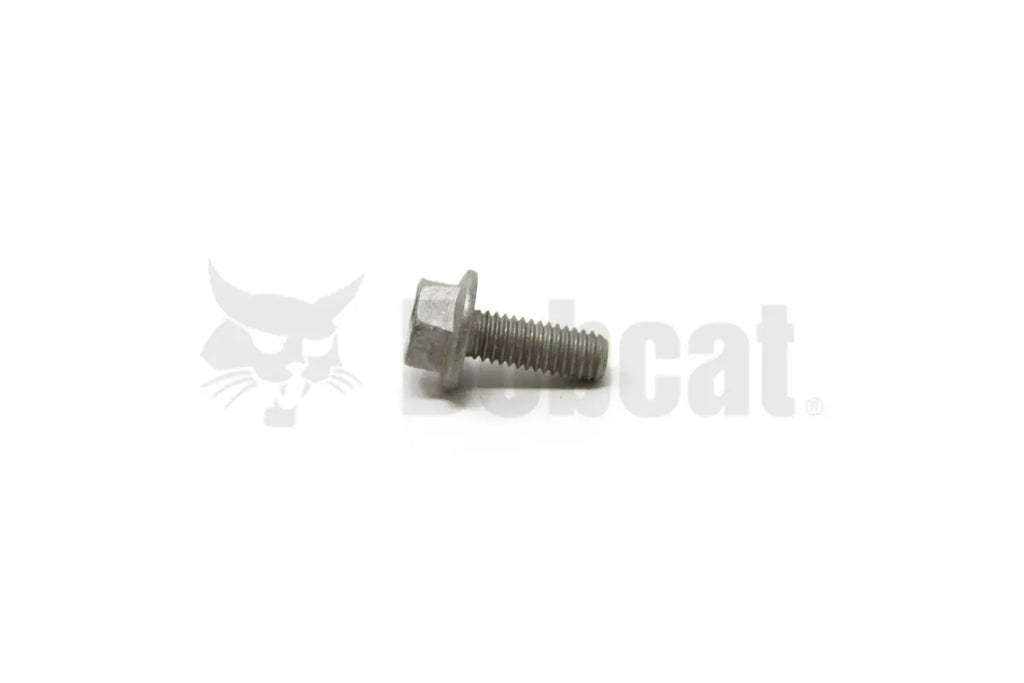 Flanged Hex Cap Screw