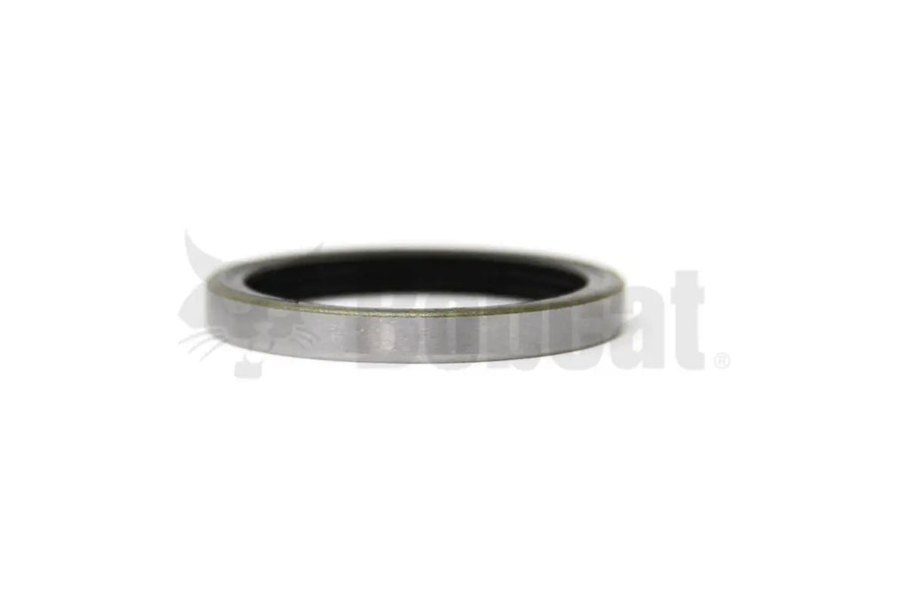 radial lip seal 1
