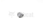 flanged bolt