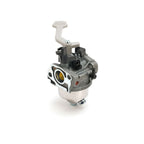 Carburetor Assembly [G250]