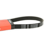 alternator belt 1