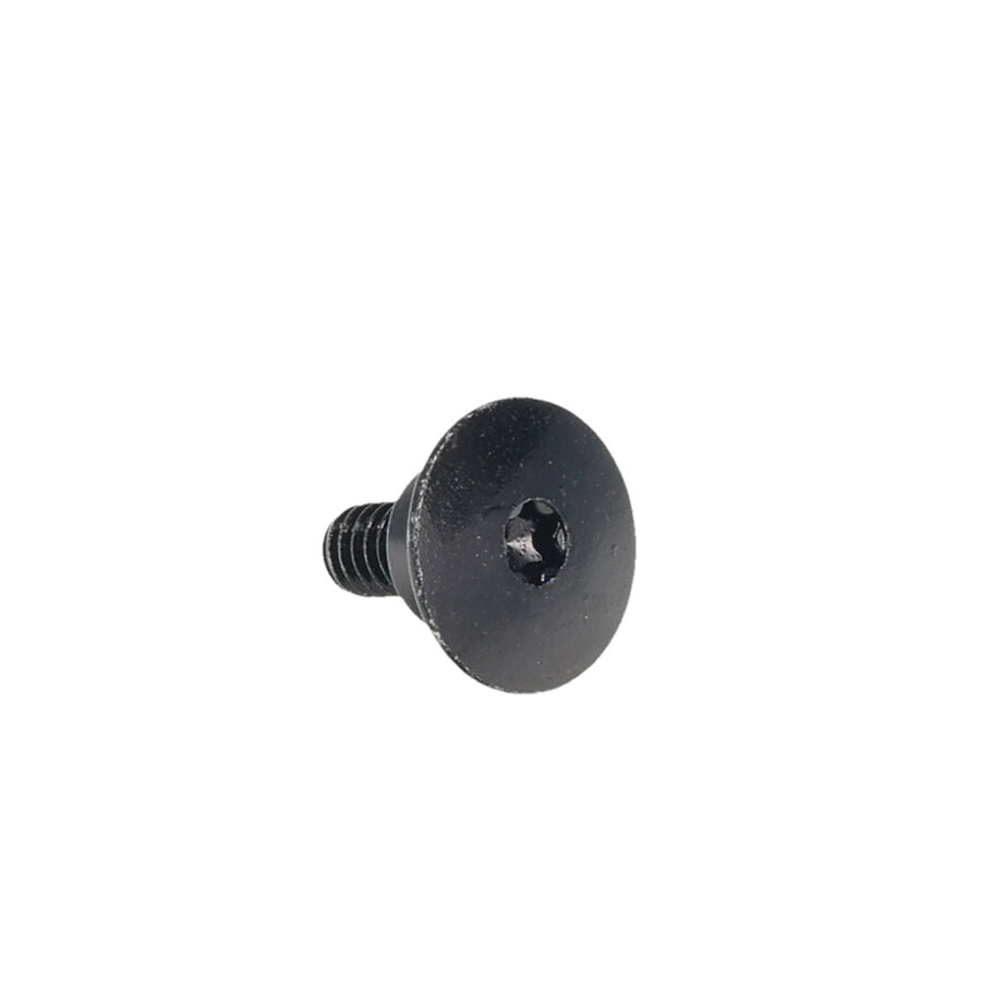 oval countersunk screw