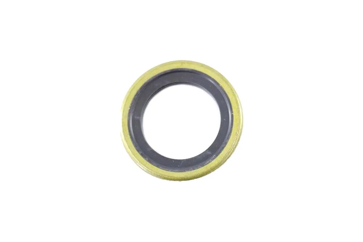 Radial Lip Seal