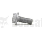 flanged hex cap screw